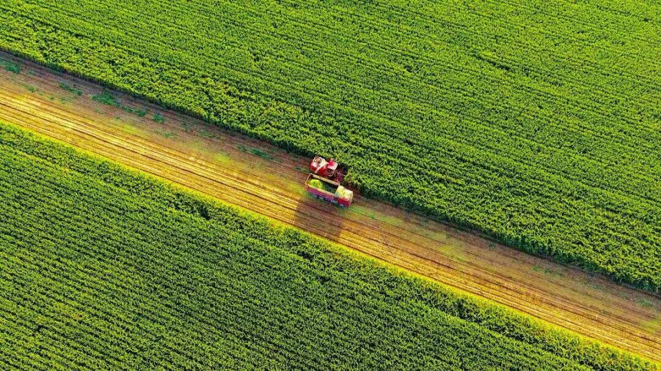 解码“十五五”丨阿拉善盟 培育优质高端特色农牧业 打造国家重要农畜产品生产基地